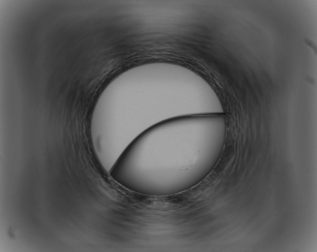 X0000093390601200710111349