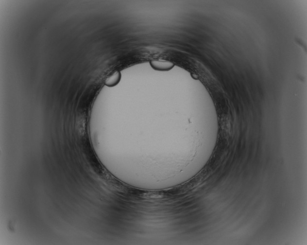 X0000093390602200710111349