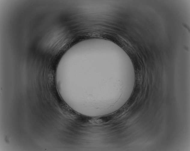 X0000093390603200710111349