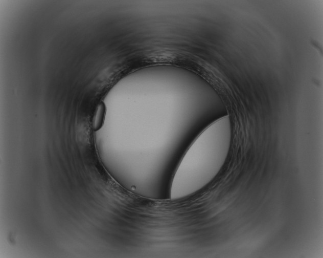 X0000093390604200710111349