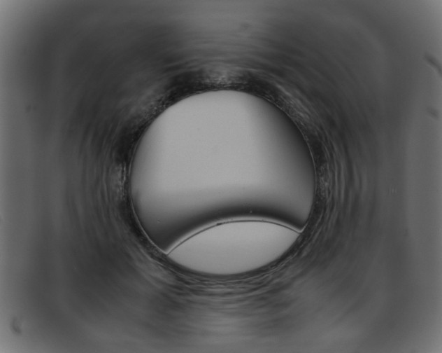 X0000093390605200710111349