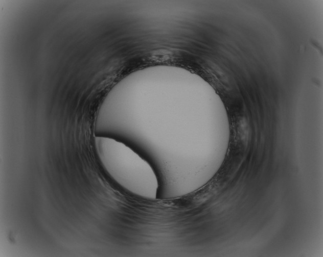 X0000093390606200710111349