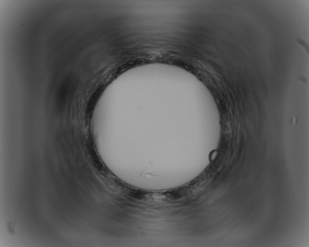 X0000093390607200710111349