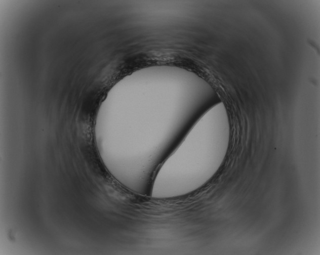X0000093390609200710111349