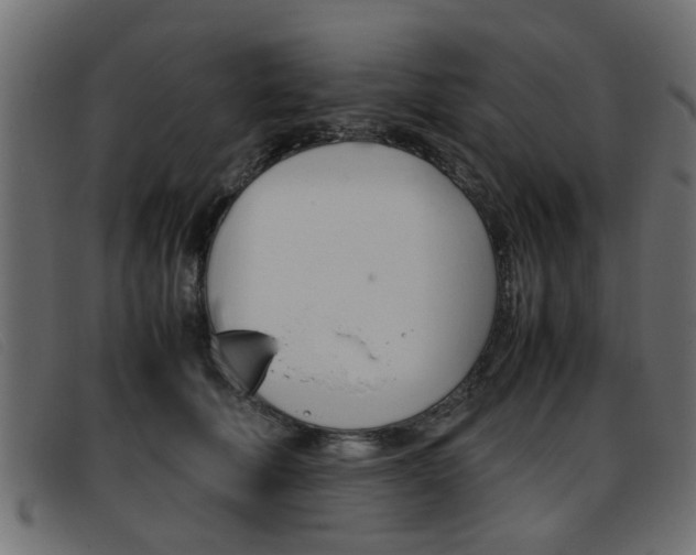 X0000093390610200710111349