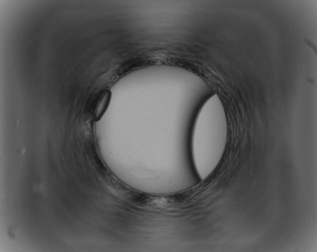 X0000093390611200710111349