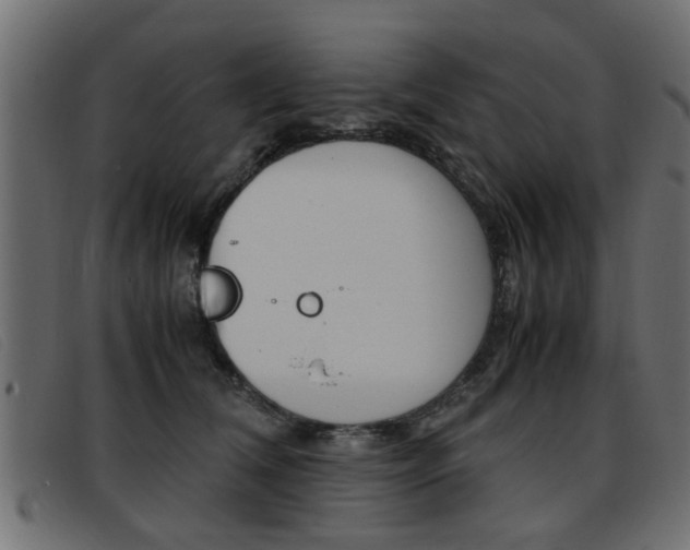 X0000093390612200710111349