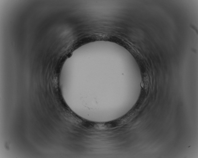 X0000093390613200710111349