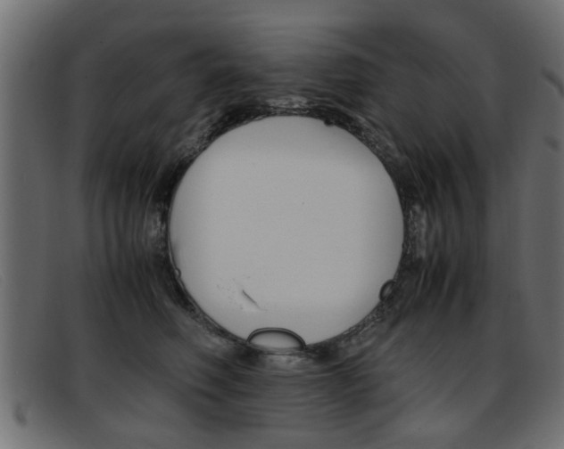 X0000093390614200710111349