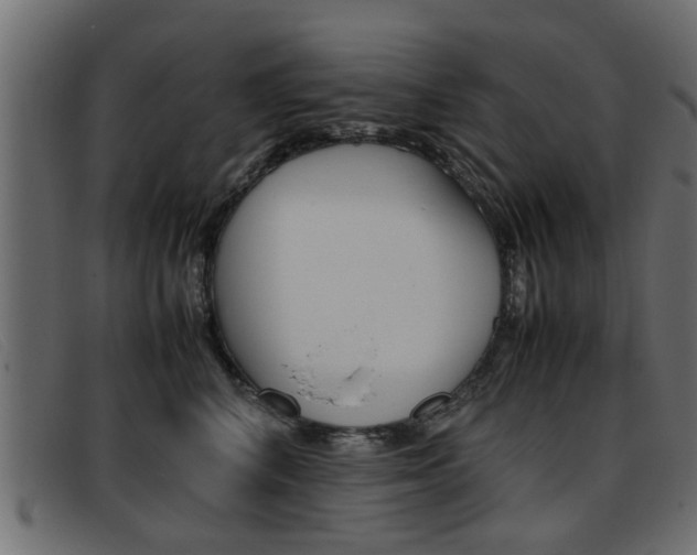 X0000093390616200710111349