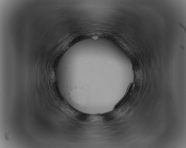 X0000093390617200710111349