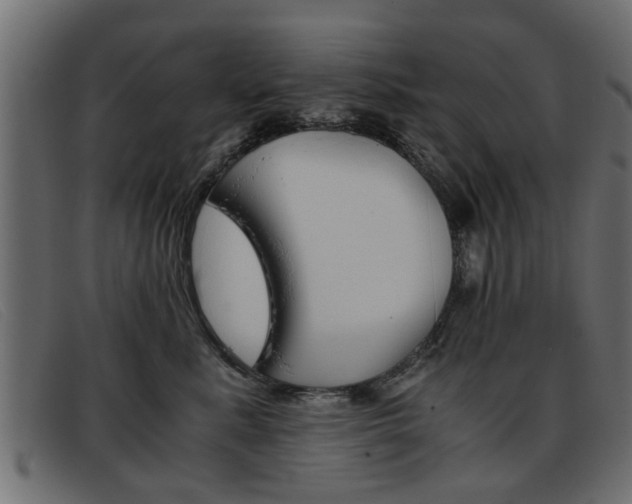 X0000093390619200710111349