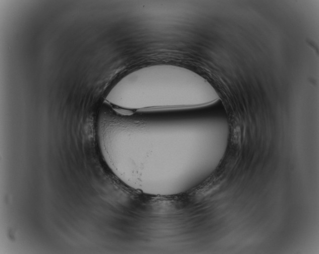 X0000093390620200710111349