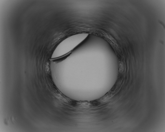 X0000093390621200710111349