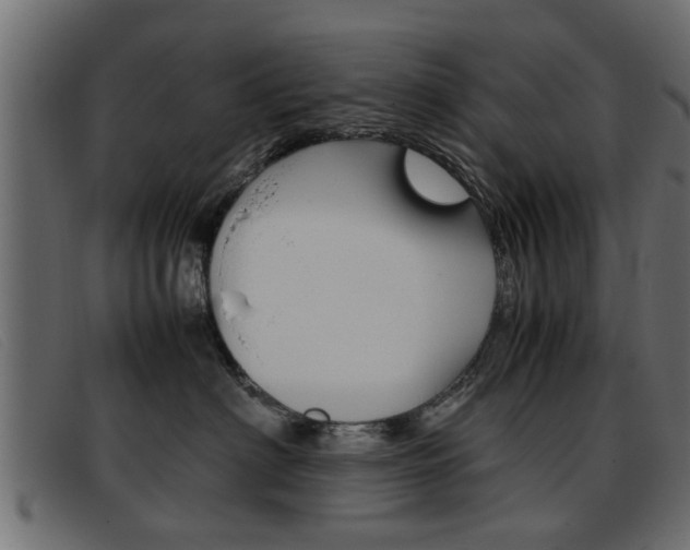 X0000093390622200710111349