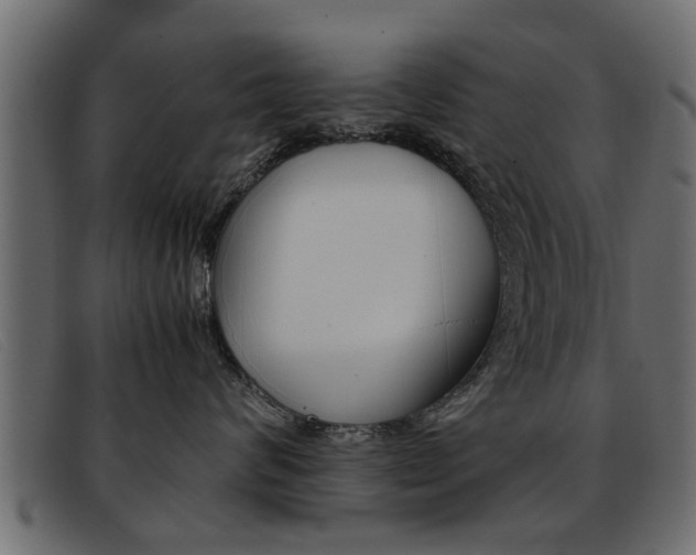 X0000093390624200710111349