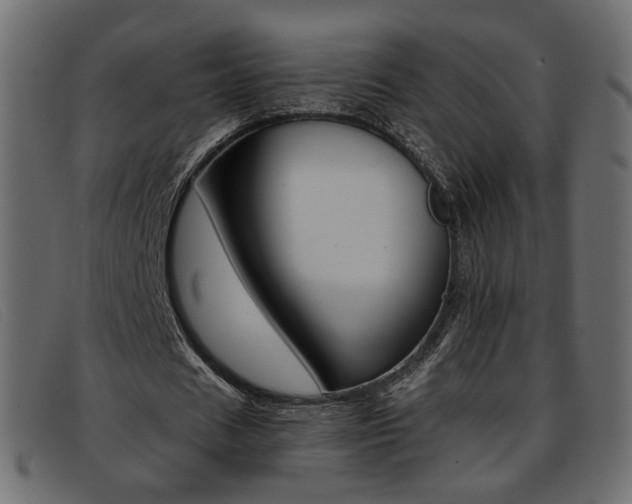 X0000093390625200710111348