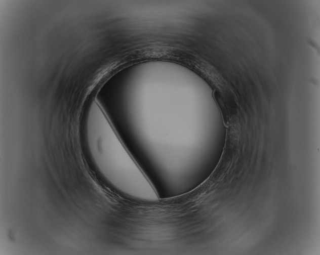 X0000093390626200710111348