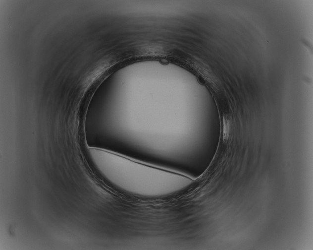 X0000093390627200710111348