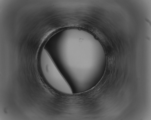 X0000093390628200710111348
