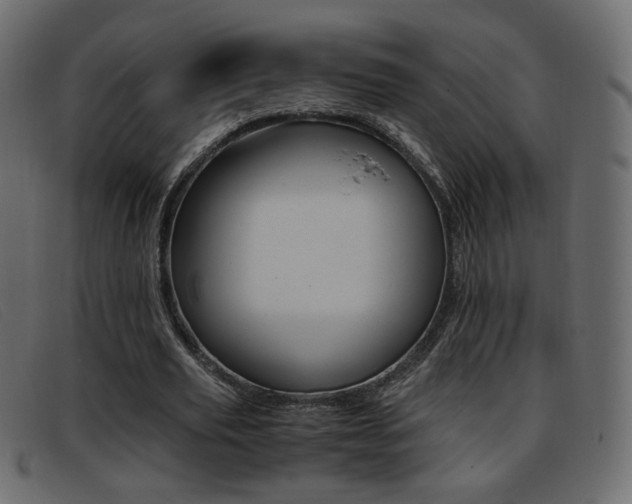 X0000093390629200710111348