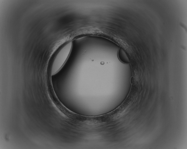 X0000093390630200710111348