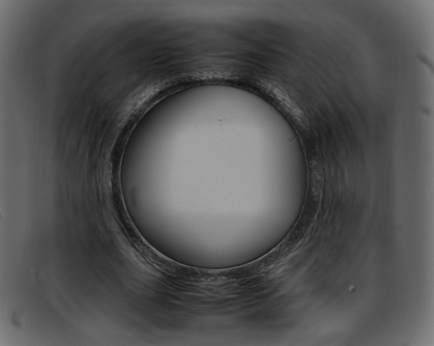 X0000093390631200710111348