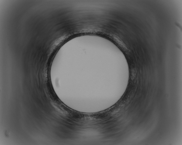 X0000093390632200710111348
