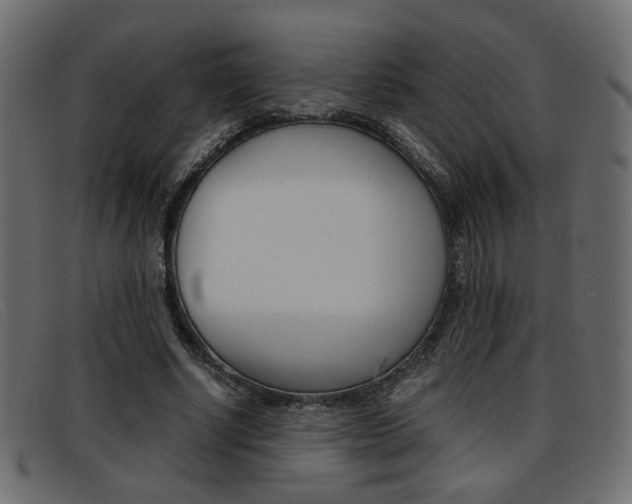 X0000093390634200710111348