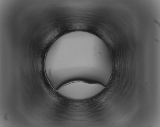 X0000093390635200710111348
