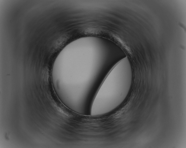 X0000093390637200710111348