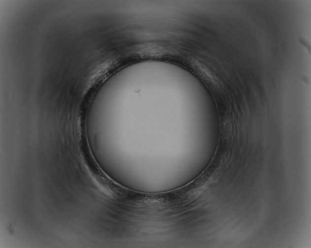 X0000093390638200710111348