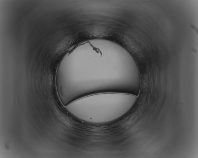 X0000093390639200710111348