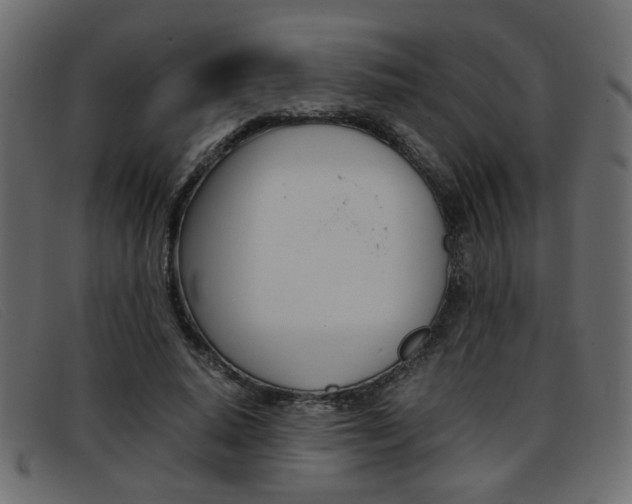 X0000093390640200710111348