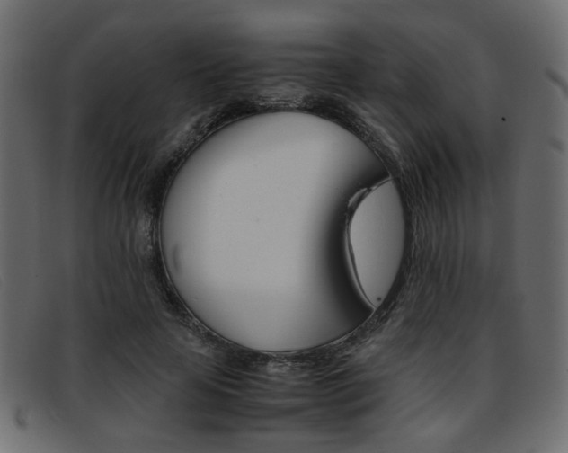 X0000093390641200710111348