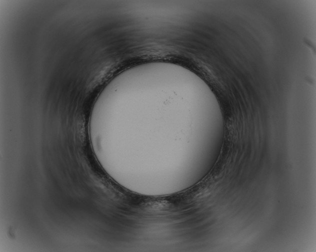 X0000093390642200710111348