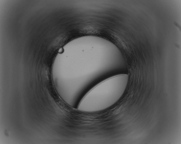 X0000093390643200710111348