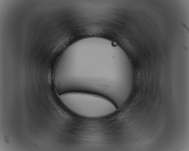 X0000093390644200710111348