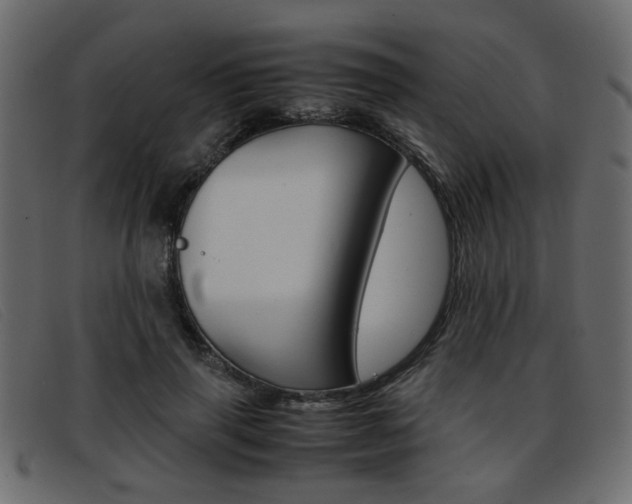 X0000093390645200710111348