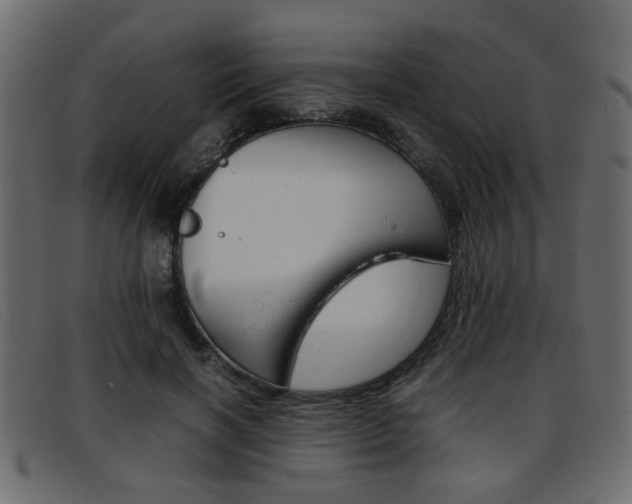 X0000093390646200710111348