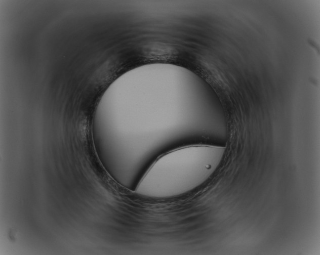X0000093390647200710111348