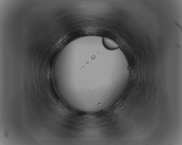 X0000093390648200710111348