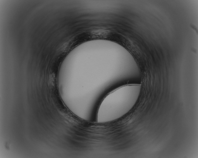 X0000093390649200710111348