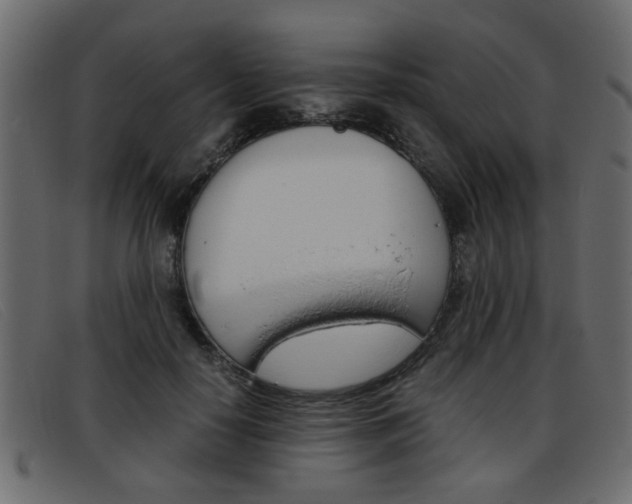 X0000093390650200710111348