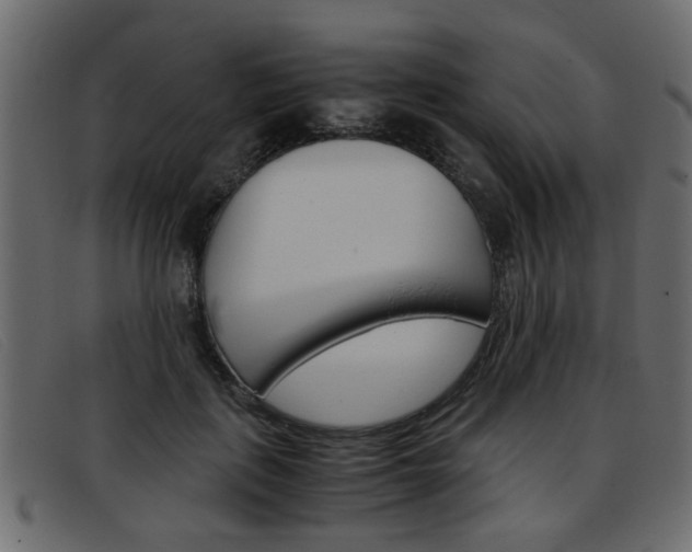 X0000093390651200710111348