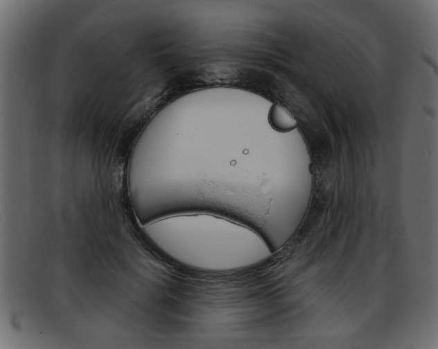 X0000093390652200710111348