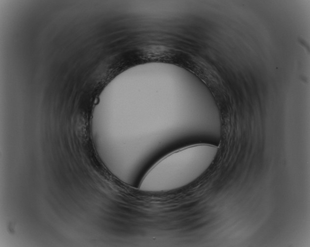 X0000093390653200710111348