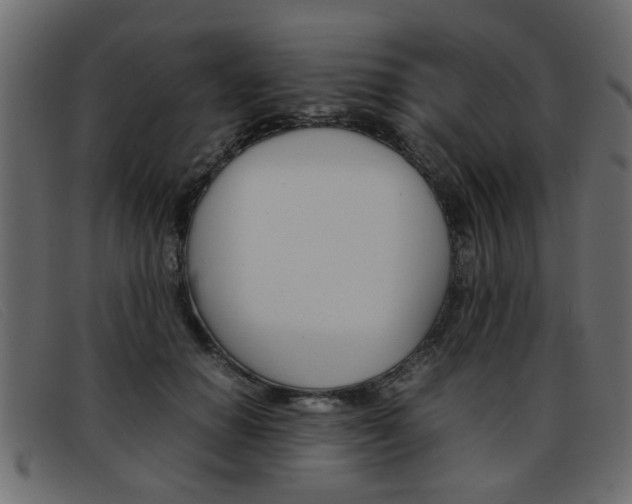 X0000093390654200710111348