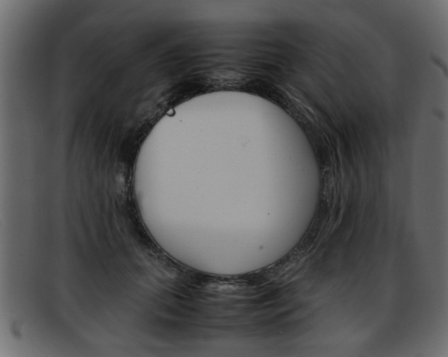 X0000093390655200710111348