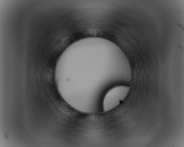X0000093390656200710111348